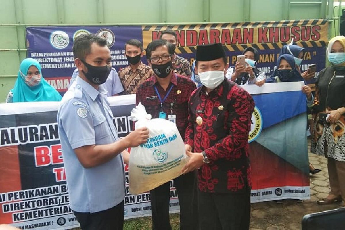 10 kelompok tani di Merangin peroleh bantuan 140 ribu benih ikan