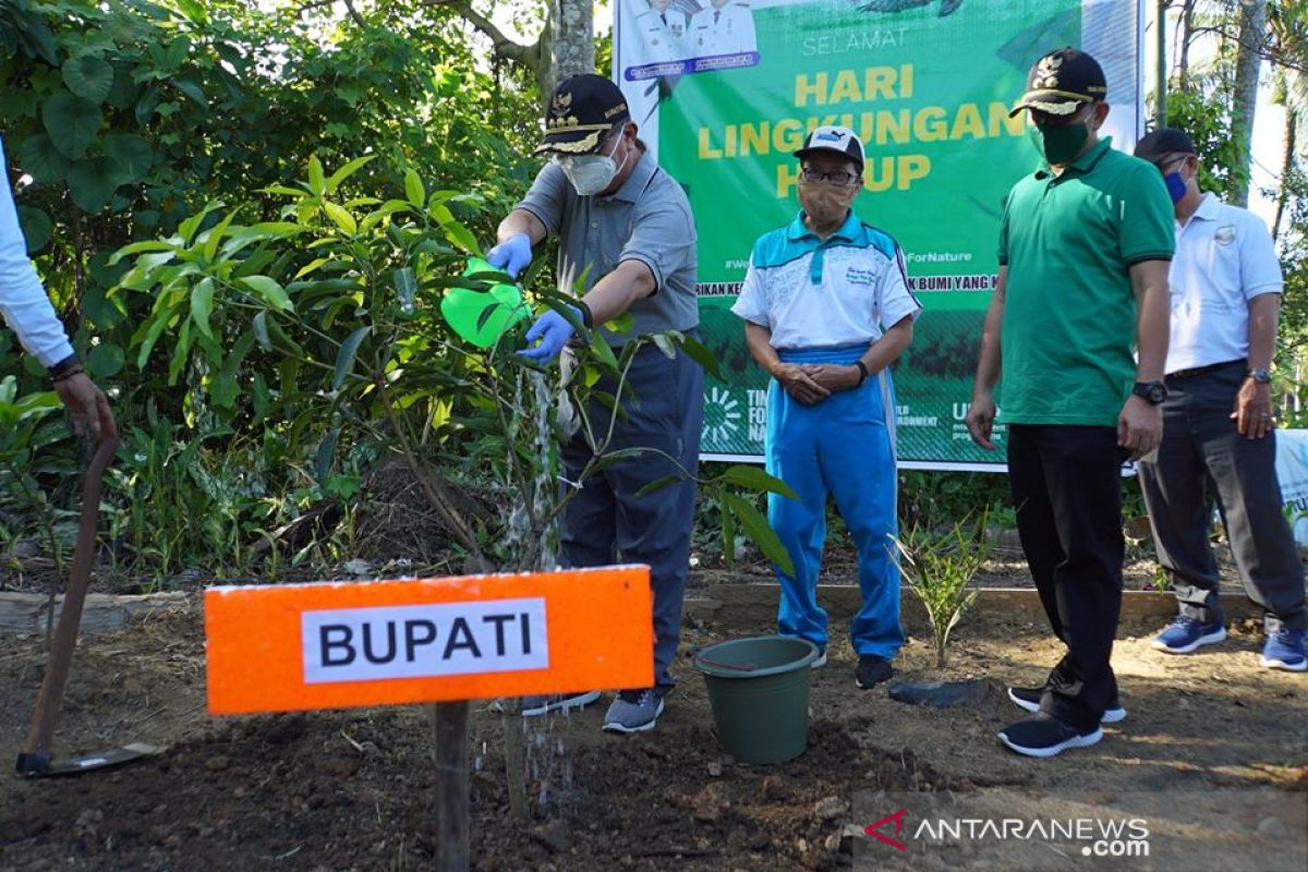 Peringati hari lingkungan hidup sedunia, Pemkab HSS tanam ratusan pohon