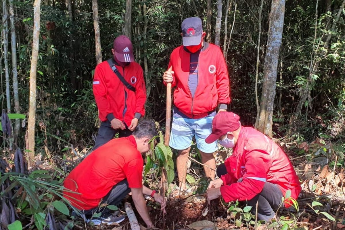 PDI P Sekadau kembali bagikan sembako dan tanam pohon