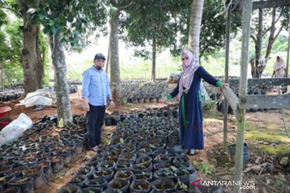 Sudian Noor siapkan tanaman sayur dan toga untuk warga