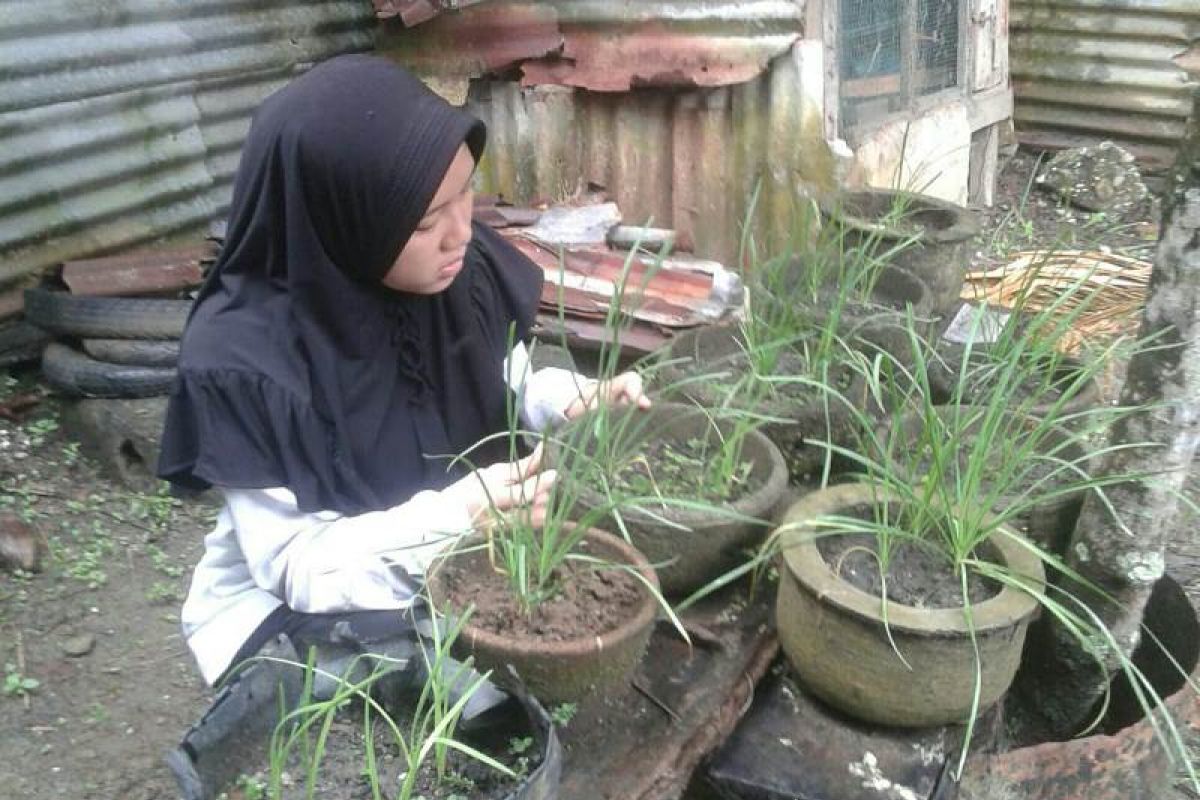 Polbangtan Medan bantu warga ciptakan ketahanan pangan rumahtangga