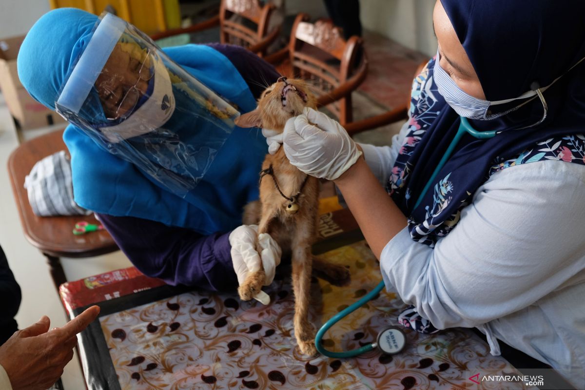 IDH Kalbar ingatkan masyarakat waspadai praktik dokter hewan palsu
