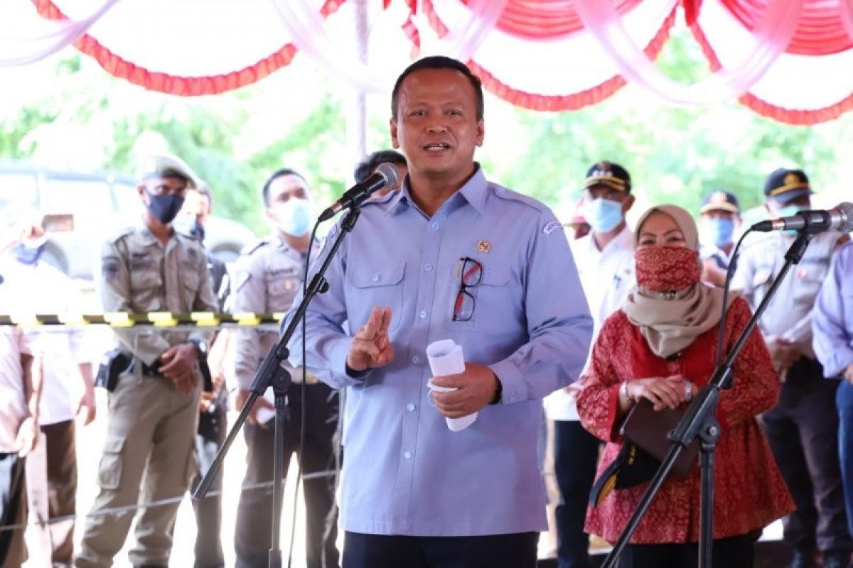 Edhy Prabowo minta Pengusaha perikanan TIDAK cemaskan pandemi COVID-19