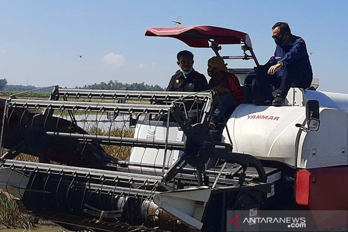 Menteri Pertanian komandokan  percepatan tanam di seluruh Indonesia