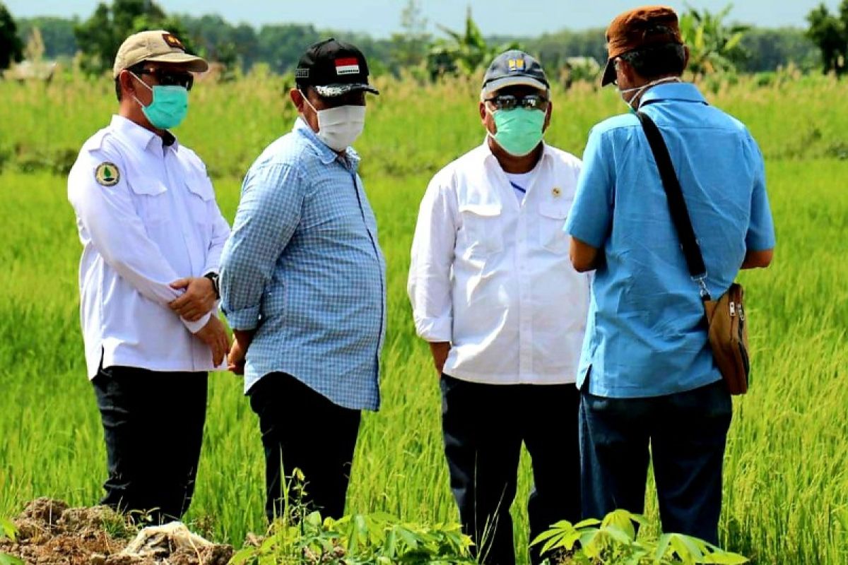 Menteri PUPR prioritaskan rehabilitasi jaringan irigasi pertanian di Pulang Pisau