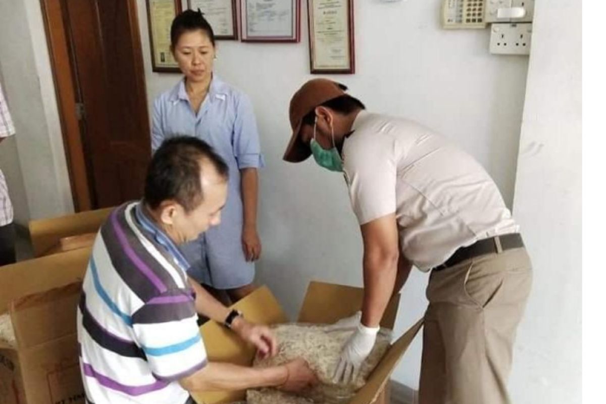 Karantina Pertanian Kabupaten Karimun genjot layanan ekspor sarang burung walet