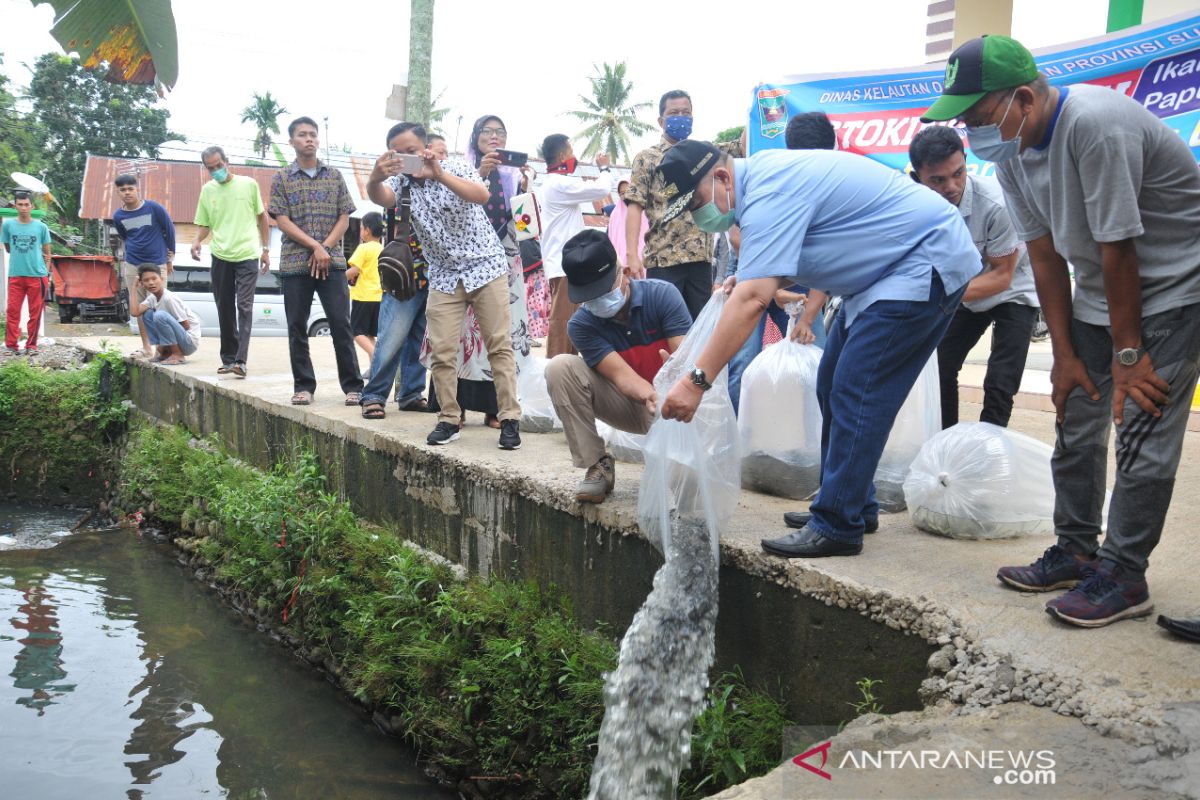 Ikan papuyu kian langka di Padang, Wagub tebar 5000 bibit