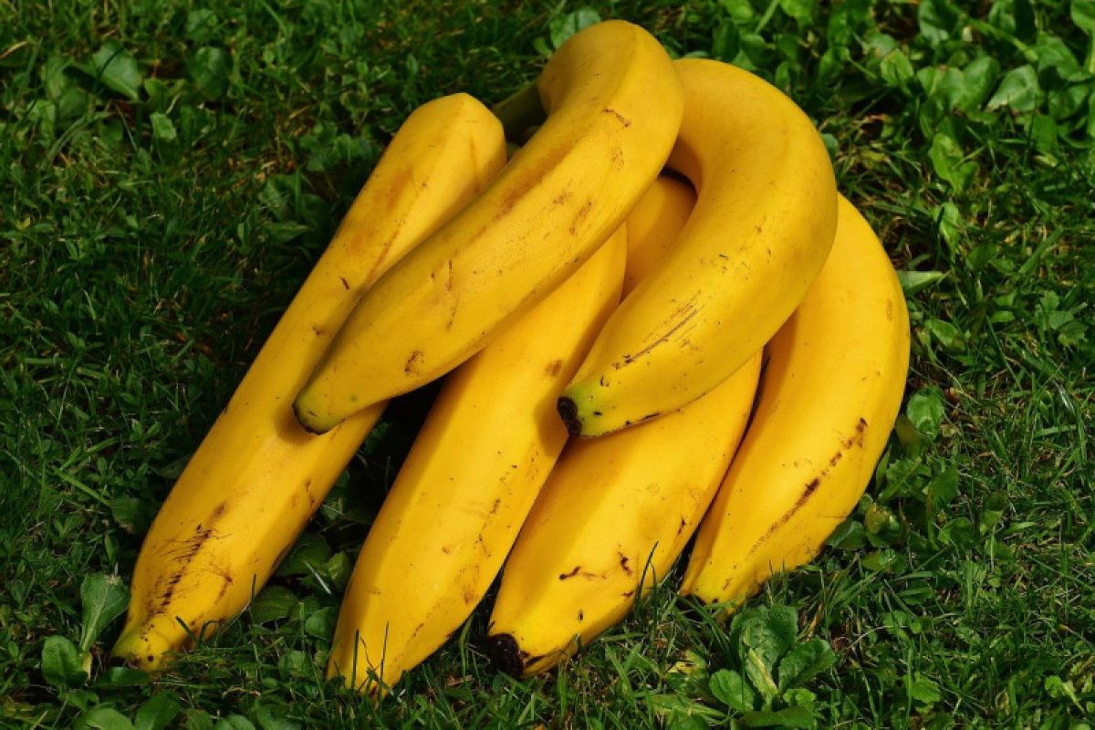 Punya pisang terlalu matang? coba bekukan untuk "smoothies"