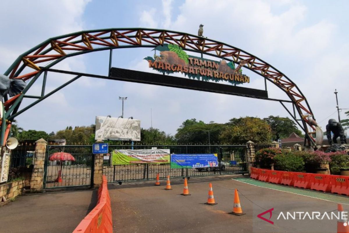 Taman Margasatwa Ragunan Jakarta terapkan protokol kesehatan, buka lagi 20 Juni