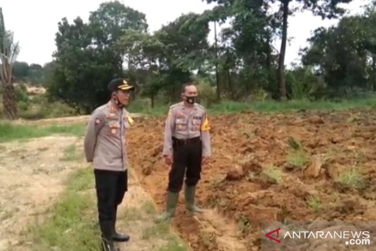 Polisi Bangka Barat manfaatkan lahan untuk tanam jagung