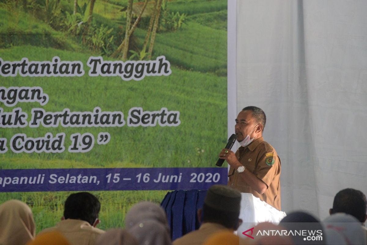 Wujudkan ketahanan pangan, Bupati Tapsel: Penyuluh harus cinta pertanian