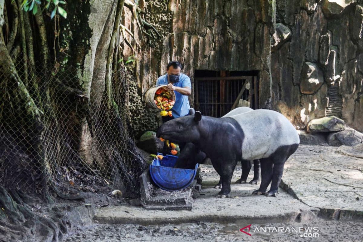 Pemkot Bandung nilai sejumlah objek wisata belum siap beroperasi