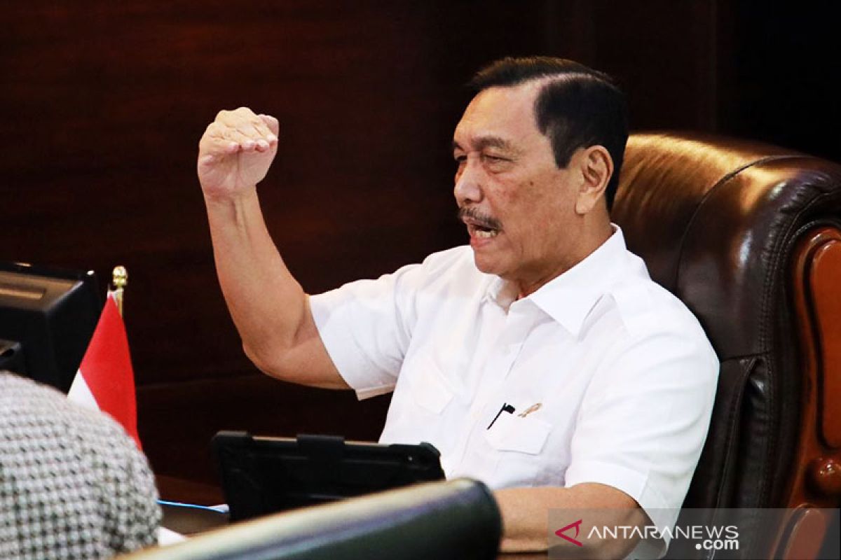 Luhut minta pejabat negara memberi contoh beli produk dalam negeri