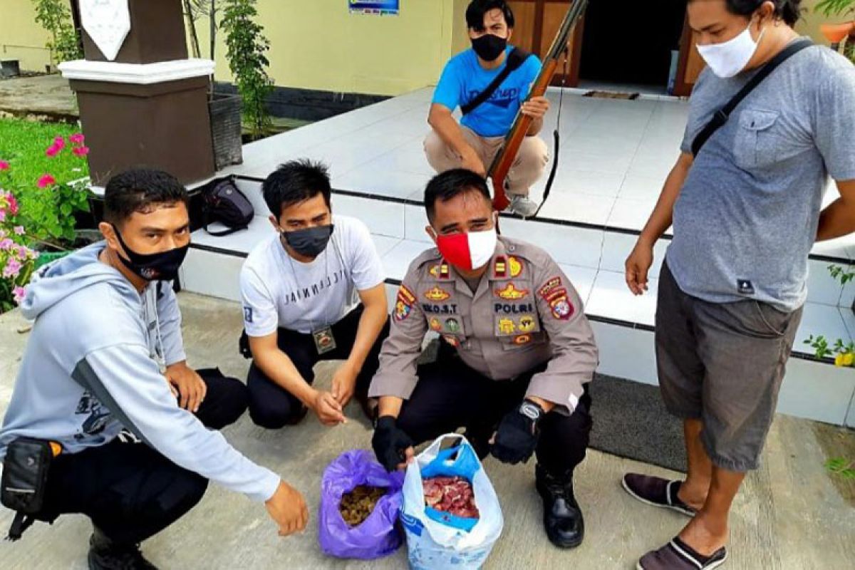 Polisi menangkap pelaku pembunuhan satwa dilindungi