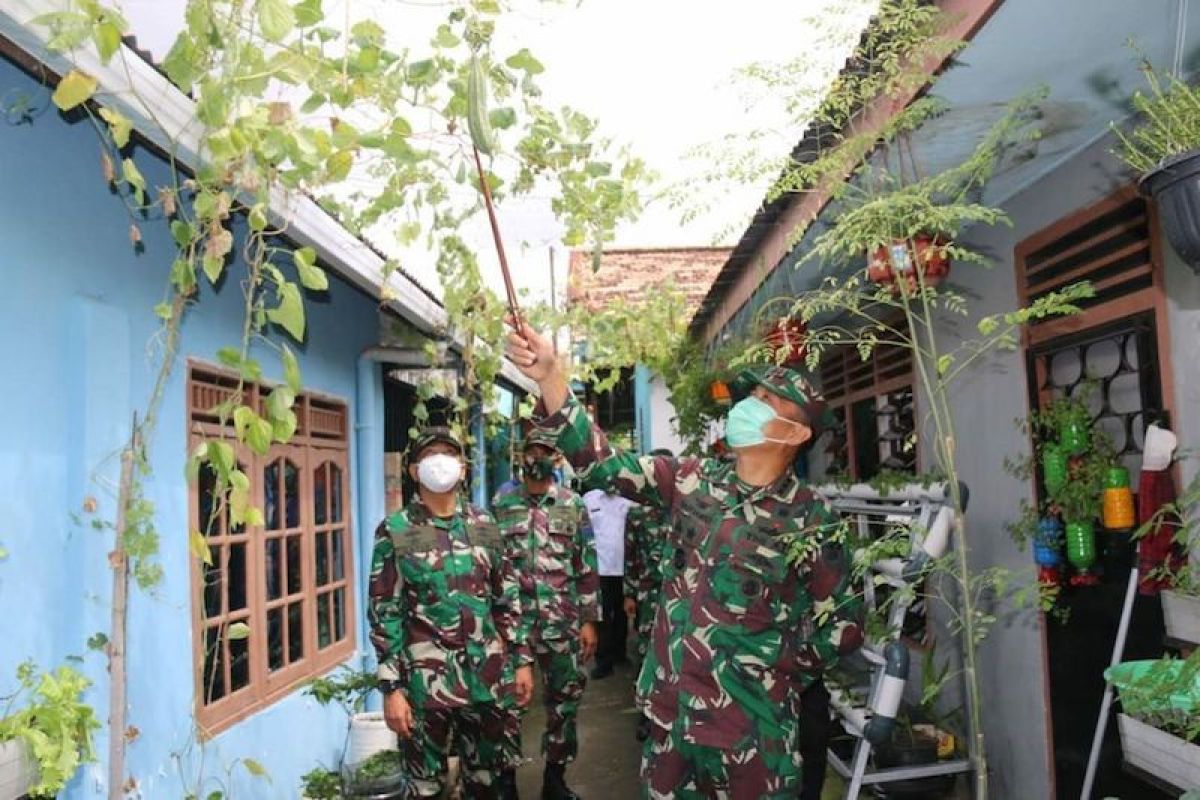 Prajurit TNI AL pelopori kampung sayur di Kota Palembang