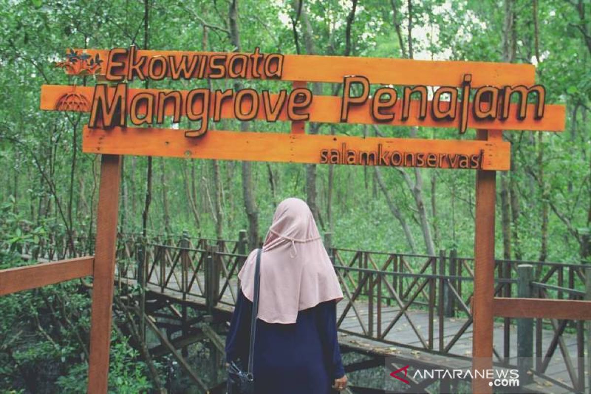 Pelaku pariwisata Penajam terdampak COVID-19 dapat bantuan sosial