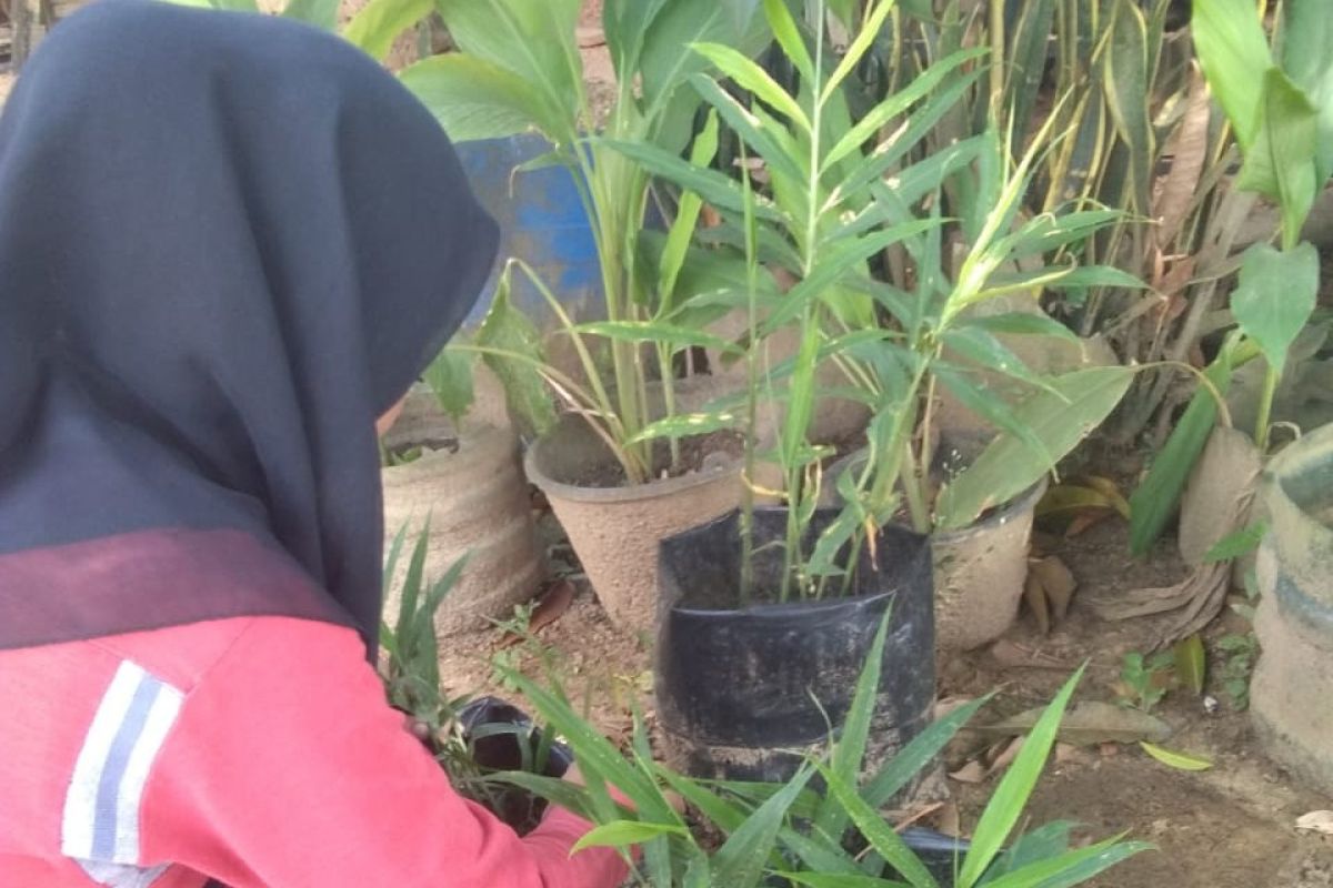 Mahasiswa Polbangtan Medan ajak masyarakat hiasi pekarangan dengan berbagai tanaman