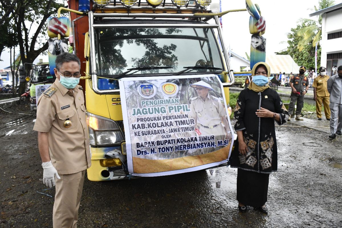 Kolaka Timur mengirim jagung 200 ton ke Surabaya