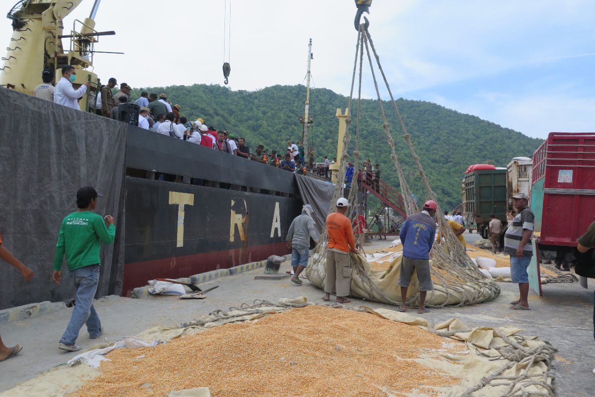 Kementan apresiasi Gorontalo tetap produktif ekspor di saat pandemi