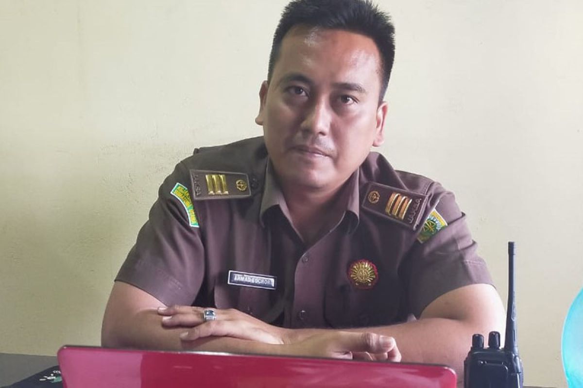 Kasus ilegal loging di Aceh Jaya meningkat