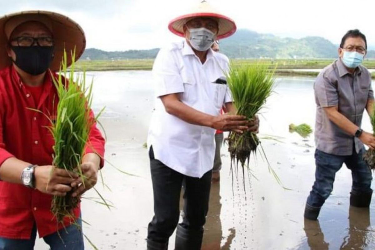 Enam kecamatan di Minahasa masih terbebas dari sebaran COVID-19