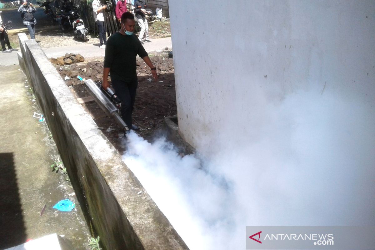 Dinkes: Demam berdarah dengue di Rejang Lebong capai 96 kasus