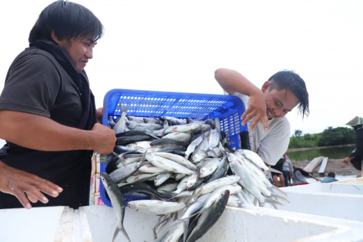 Selama pandemi, pakar sebut konsumsi pangan sehat makin diminati masyarakat