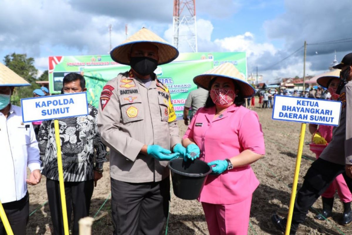 Kapolda Sumut bantu masyarakat Karo dengan 500 kg bibit jagung