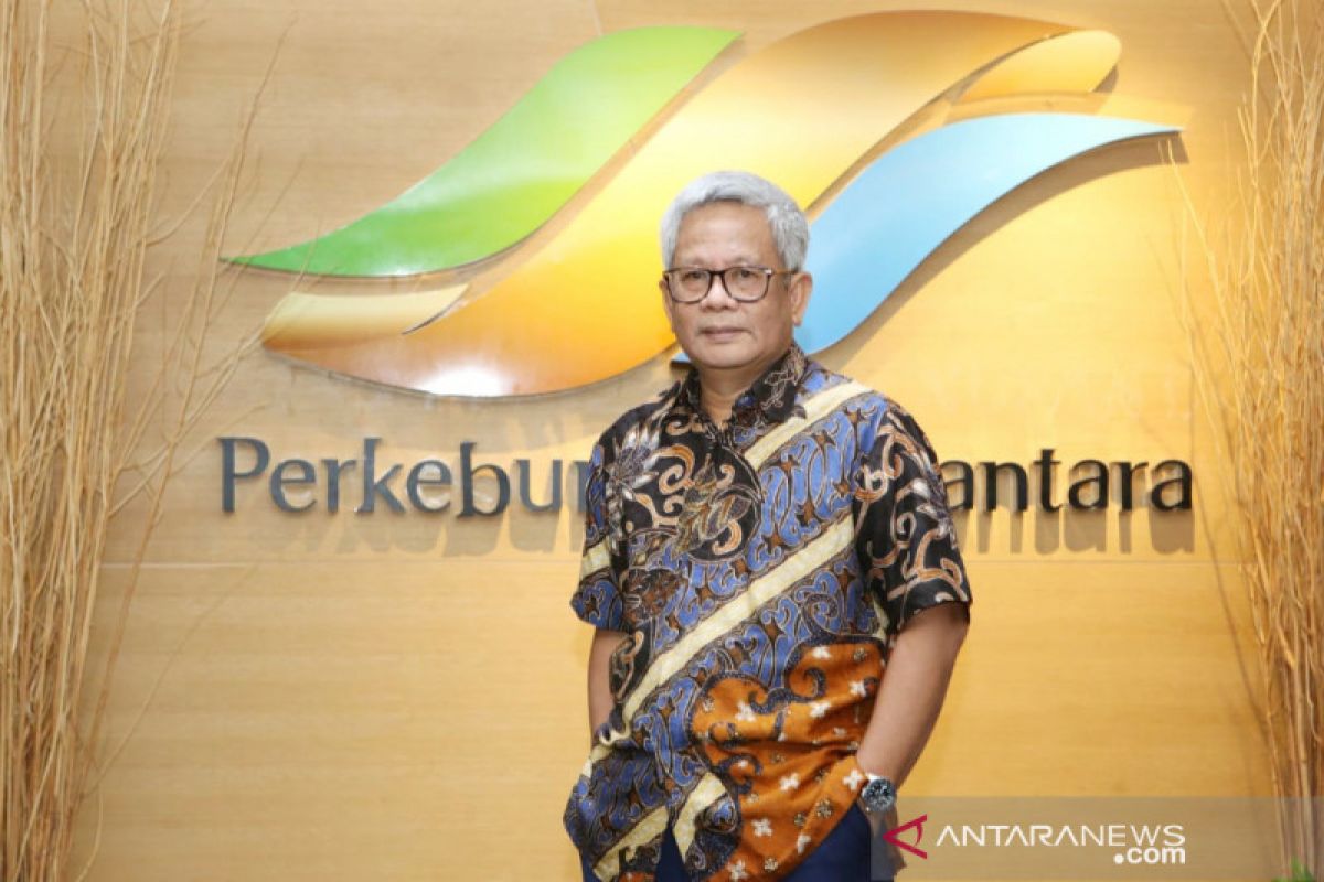 PTPN Holding buka lowongan kerja