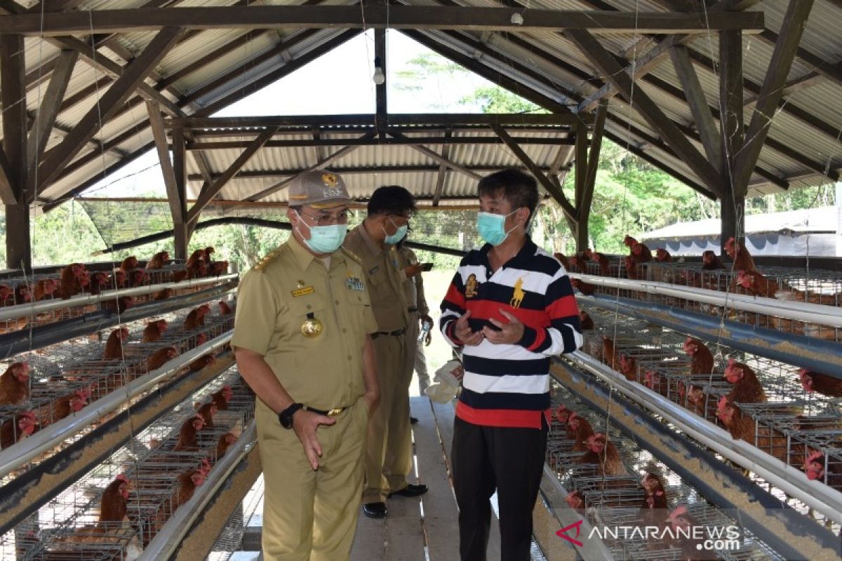 Gubernur Babel sidak usaha peternakan ayam