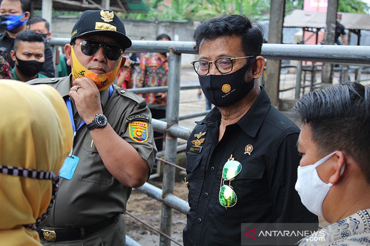 Mentan minta Lampung terus tambah produksi peternakan