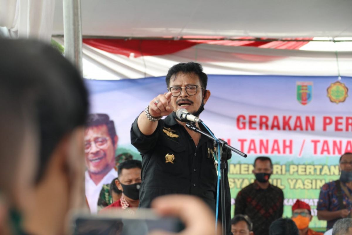 Mentan Syahrul Yasin Limpo dukung Lampung sebagai daerah lumbung ternak