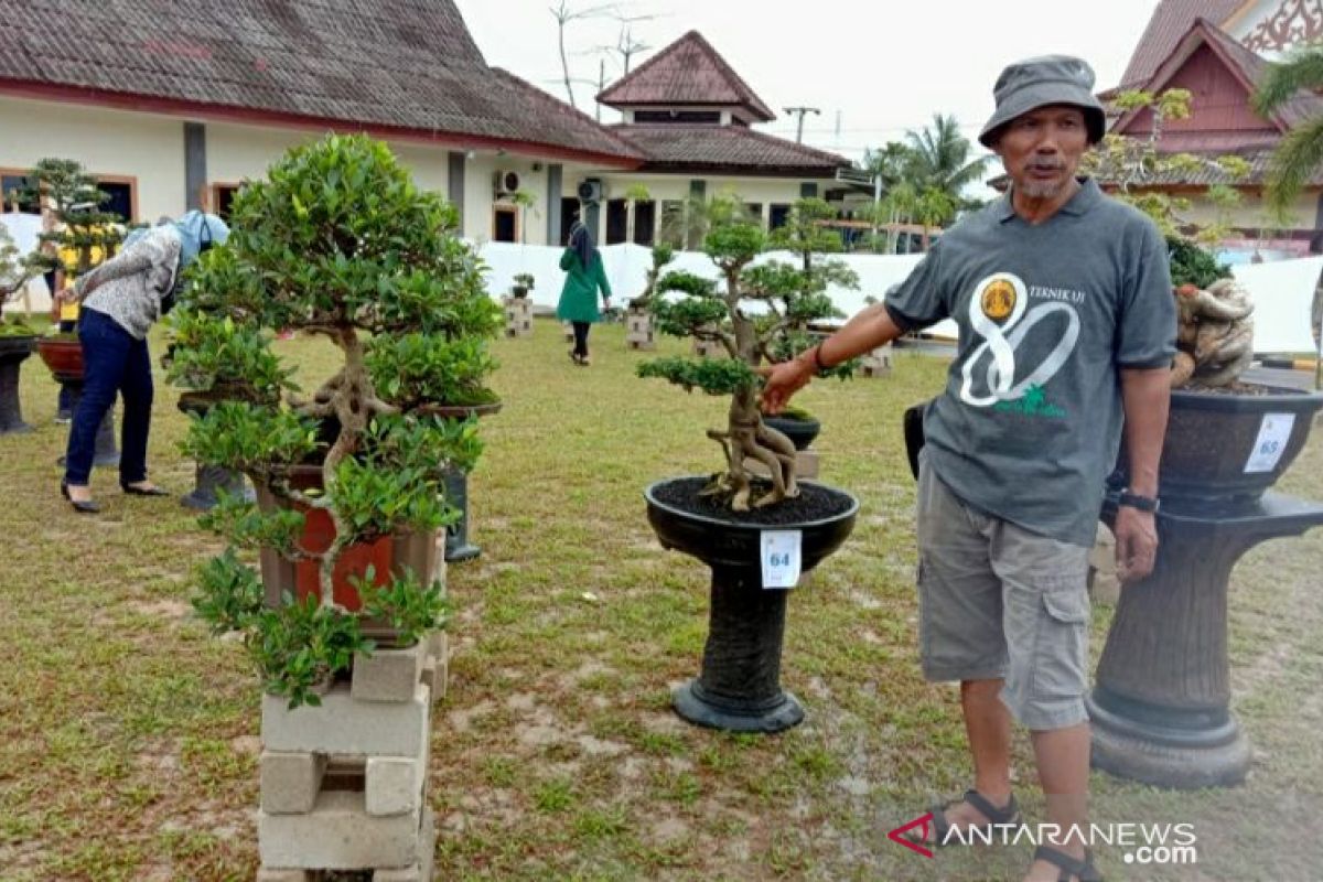 78 tanaman bonsai meriahkan pameran karya terbaik pegawai PUPR Babel