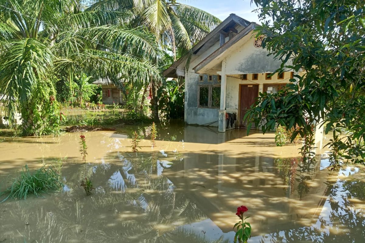 Banjir landa Aceh Timur, sebanyak 220 unit rumah warga terendam