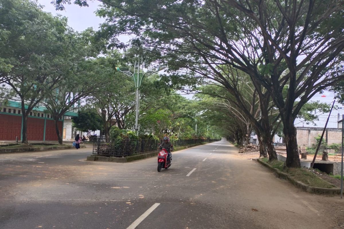 Warga dilarang tebang pohon diruas jalan kantor bupati Abdya