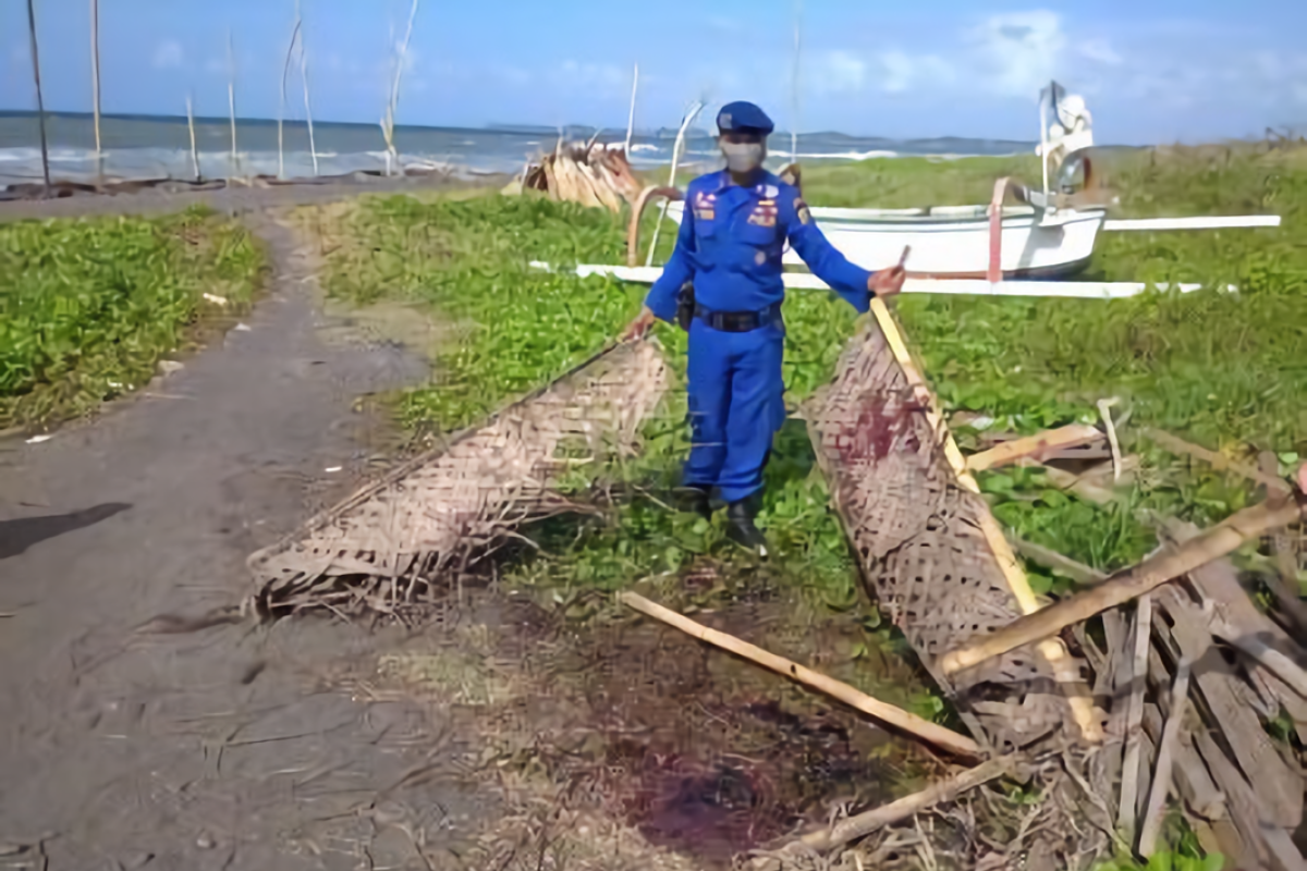 BPSPL Denpasar tangani paus terdampar di Pantai Lembeng