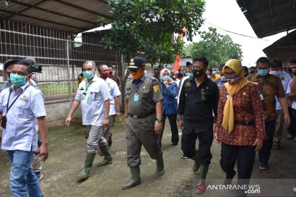 Mentan sebut Lampung potensial menjadi contoh pertanian di Indonesia