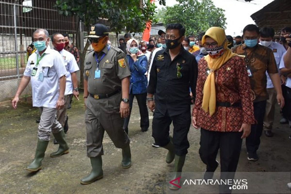 Mentan sebut Lampung potensial jadi contoh pertanian di Indonesia