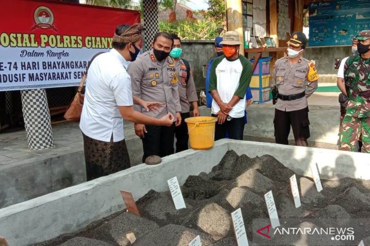 Hari Bhayangkara, Kapolres Gianyar lepas tukik di Pantai Saba