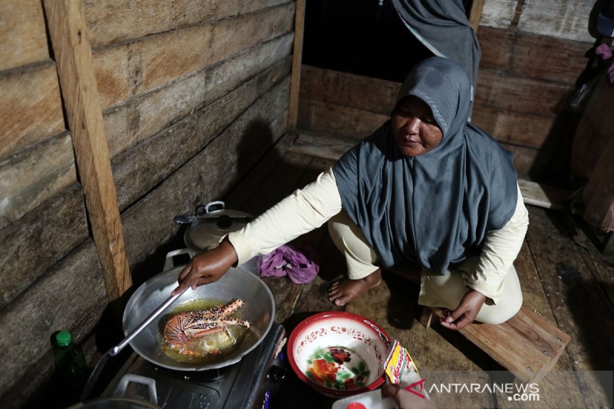 Masakan lobster ala kampung suku Bajo Tilamuta