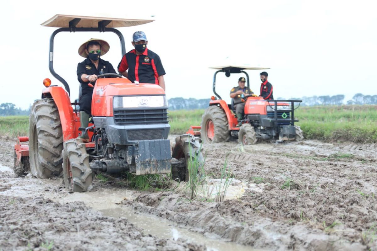 Karantina Pertanian Lampung dukung program gerakan percepatan olah tanah dan olah lahan padi