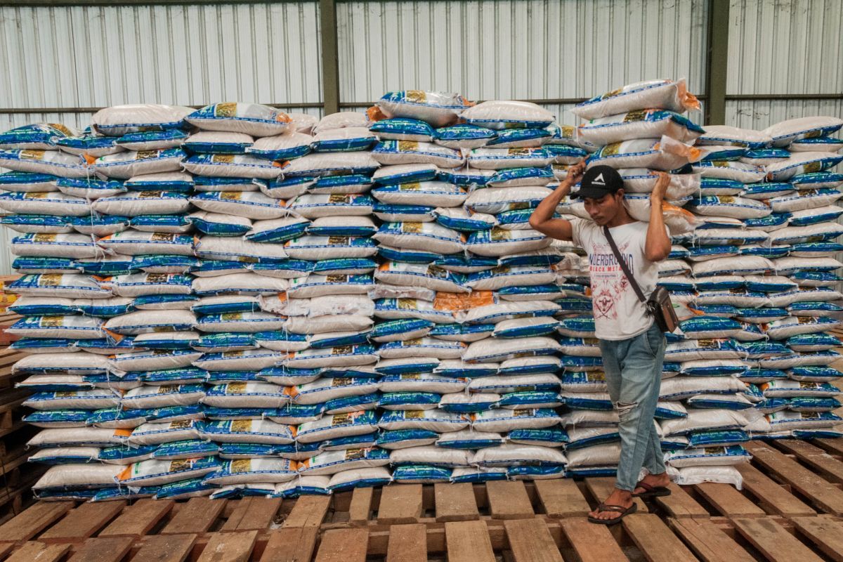 Bulog serap 3.000 ton beras petani di Lebak dan Pandeglang