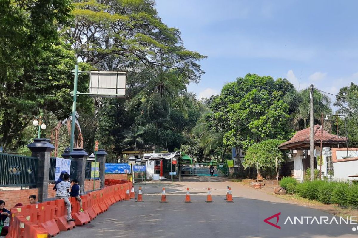Pengunjung hari pertama pembukaan Taman Margasatwa Ragunan hanya 328 orang