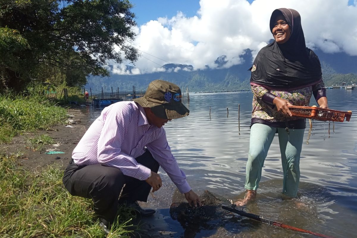 Harga ikan rinuak di Agam naik, ini penyebabnya