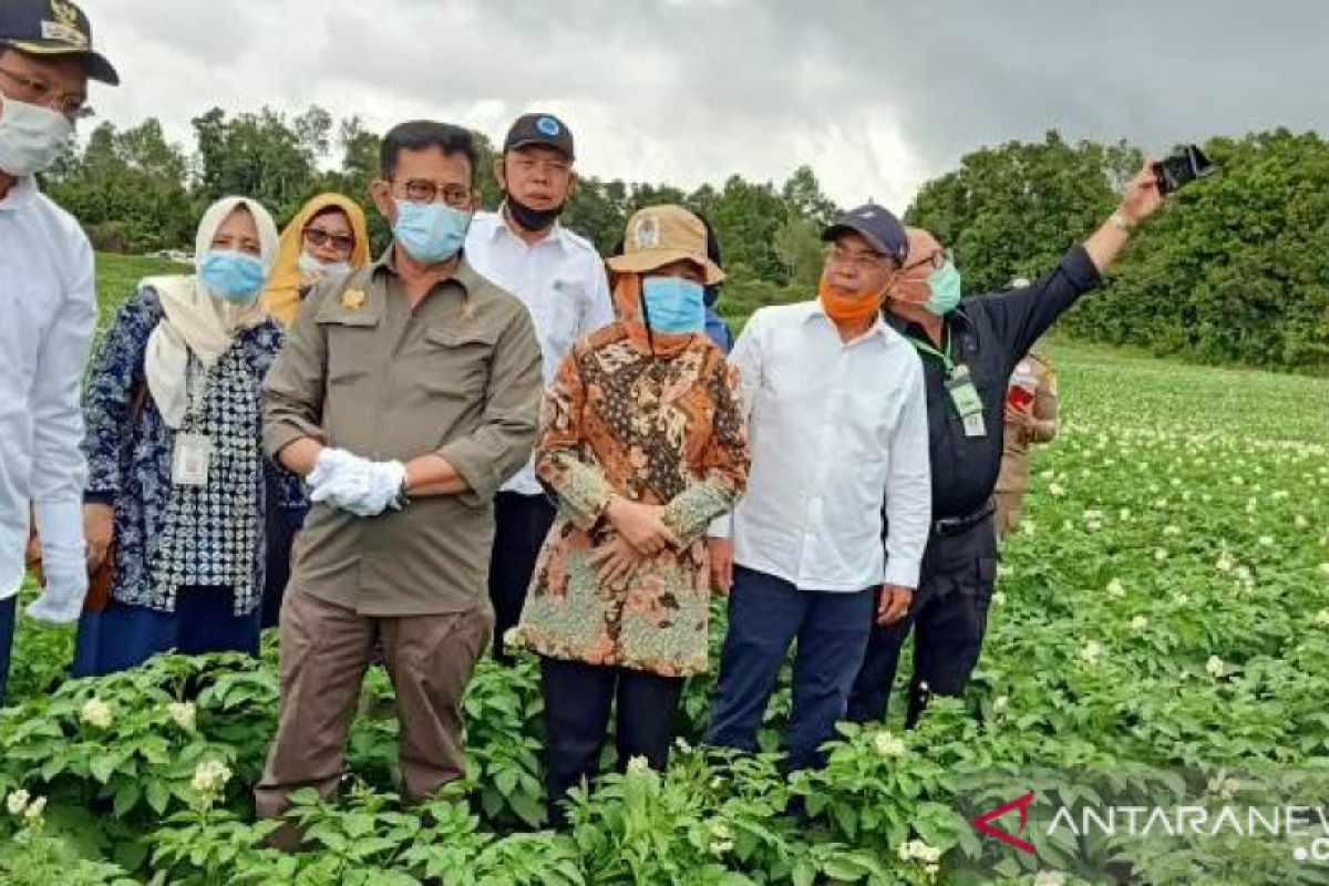 Direktur Polbangtan Medan ikut dampingi Mentan panen perdana  bawang putih di Humbahas