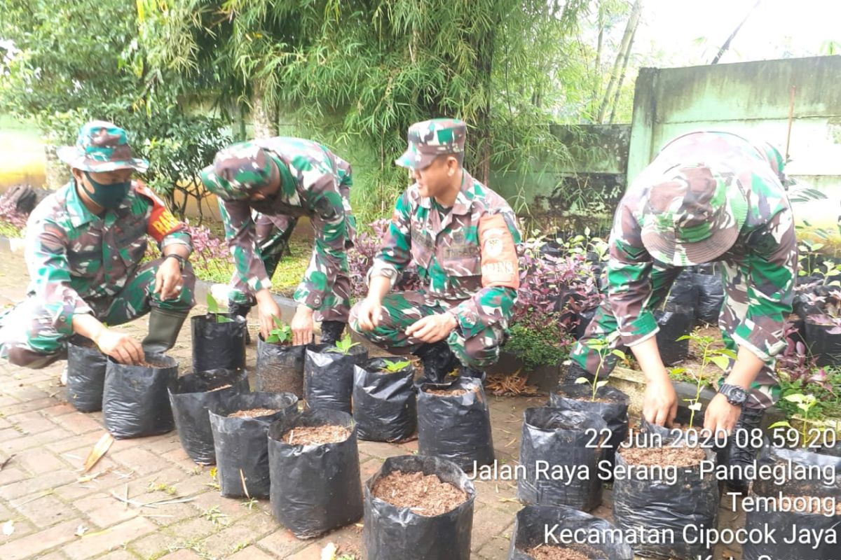 Kodim 0602/Serang kembangkan budidaya cabai melalui 1000 Polybag