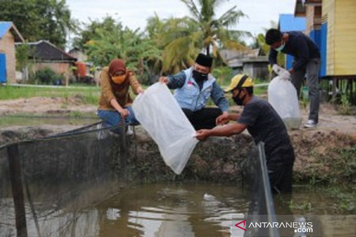 Tanah Bumbu Regent spreads thousands catfish to improve food welfare