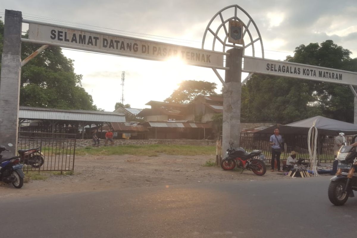 Distan Mataram segera membuka pasar hewan persiapan Idul Adha