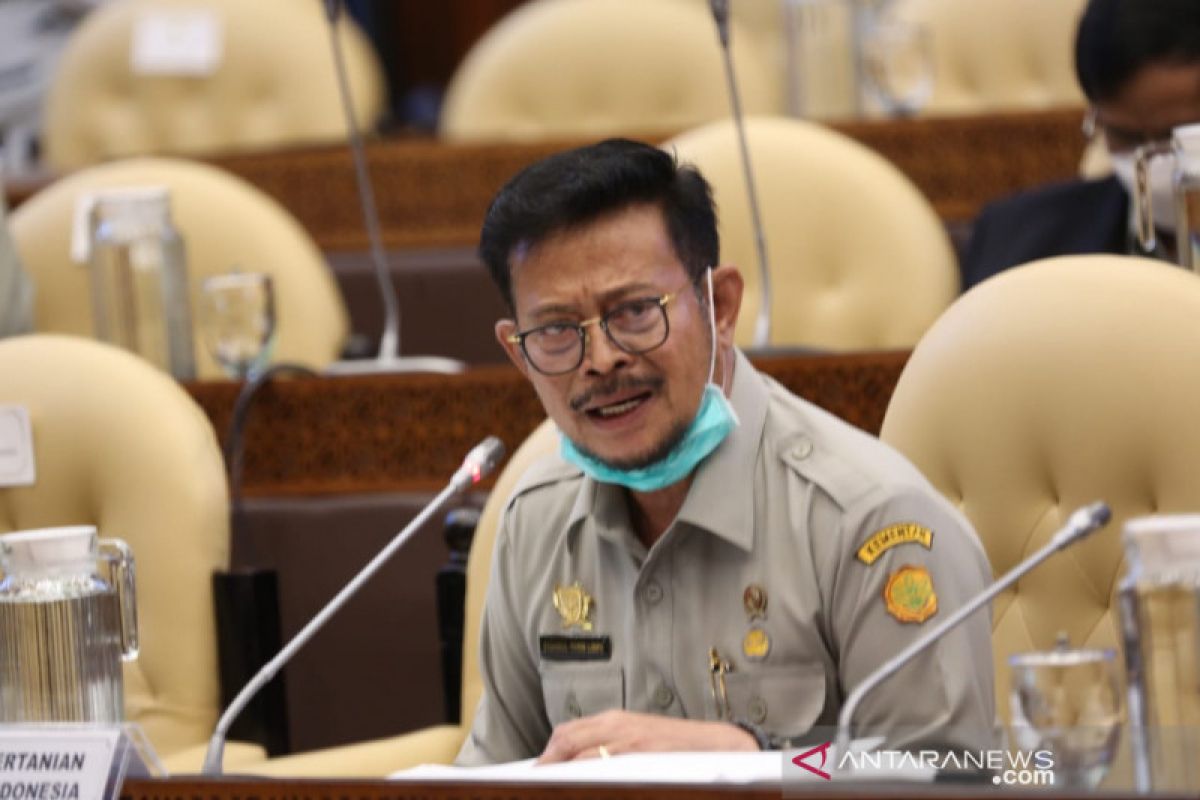 Mentan sebut realisasi anggaran hingga 3 Juli 2020 capai 44 persen