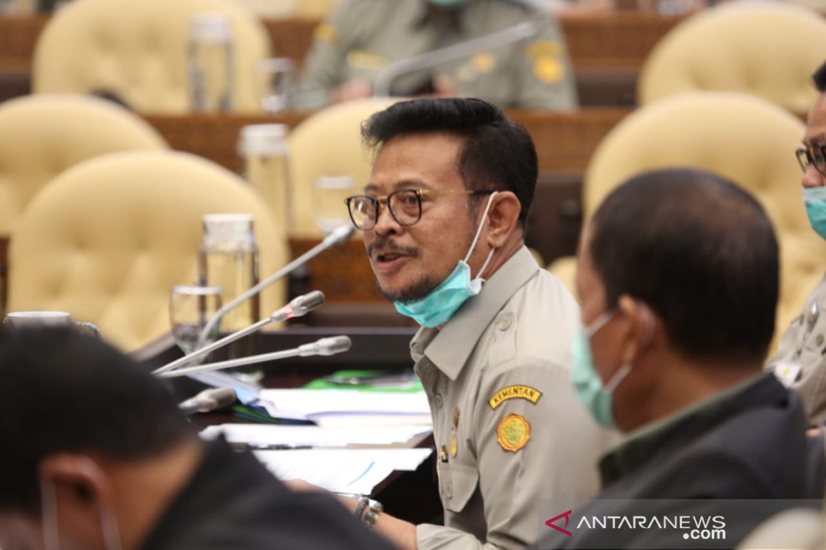 Mentan : Hingga Desember 2020 masih ada stok beras 6,1 juta ton